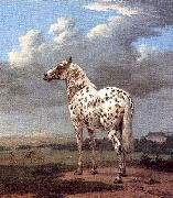 POTTER, Paulus The Piebald Horse oil painting picture wholesale
